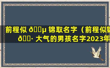 前程似 🌵 锦取名字（前程似锦 🌷 大气的男孩名字2023年）